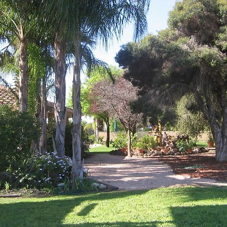 Orana Motor Inn Μιλντούρα Εξωτερικό φωτογραφία
